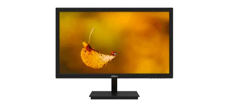 Dahua LM19-L200 19.5-Inch 75Hz TN Panel Monitor