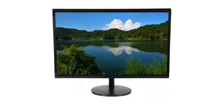 Esonic 22ELMW 22-Inch LED HD Monitor